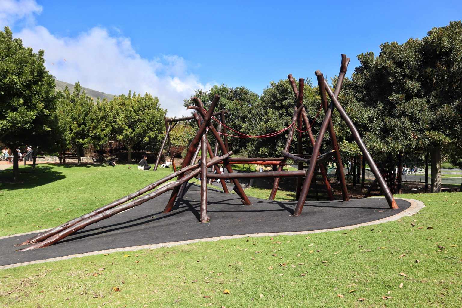 Green Point Park | Biodiversity Garden In The City | Cape Town