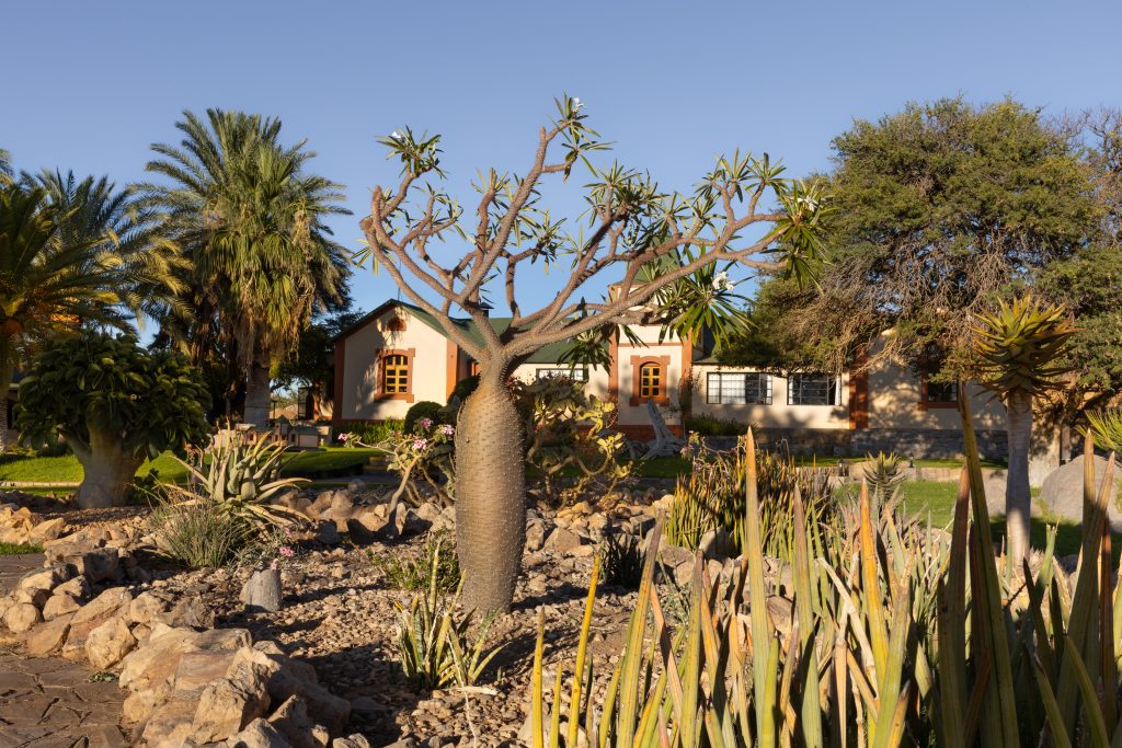 Canyon Lodge by Gondwana Collection